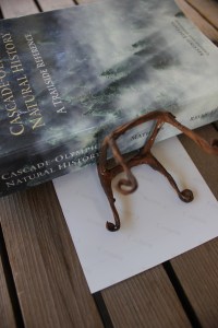 Fairy furniture miniature chair tutorial #fairygarden #beneaththeferns 7