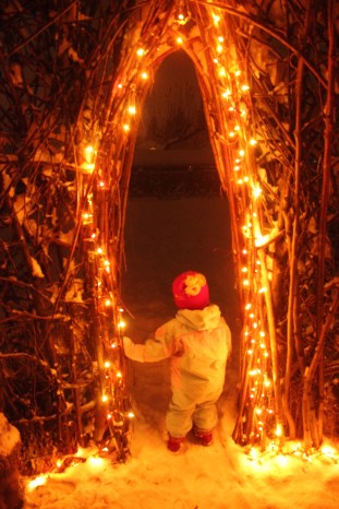 Fairy house garden woven structure #beneaththeferns #fairy #Faiiryhouse 11