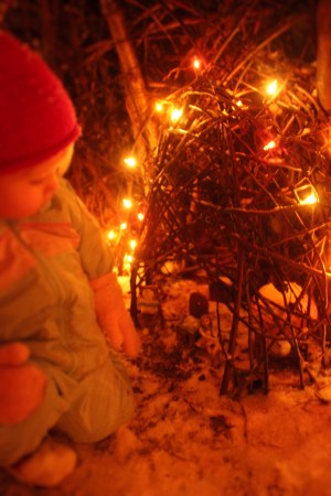 Fairy house garden woven structure #beneaththeferns #fairy #Faiiryhouse 11f