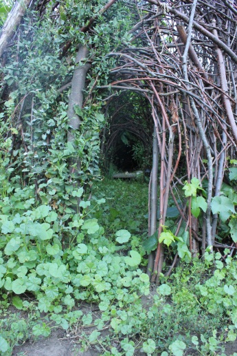 Fairy house garden woven structure #beneaththeferns #fairy #Faiiryhouse 15