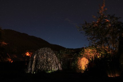 Fairy house garden woven structure #beneaththeferns #fairy #Faiiryhouse 3