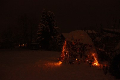 Fairy house garden woven structure #beneaththeferns #fairy #Faiiryhouse 9