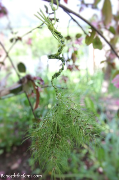 Fairy house nature craft garden miniature