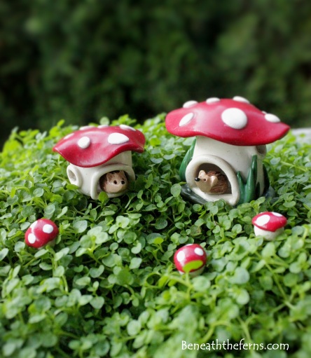 Fairy gardens supplies miniature mushroom hedgehog gnome house