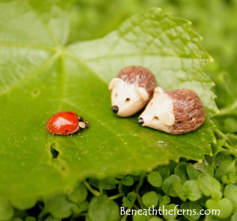 Mini hedgehog ladybugs fairy gardens supplies accessories beneaththeferns