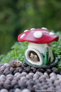 hedgehog Mushroom miniature house fairy garden accessory