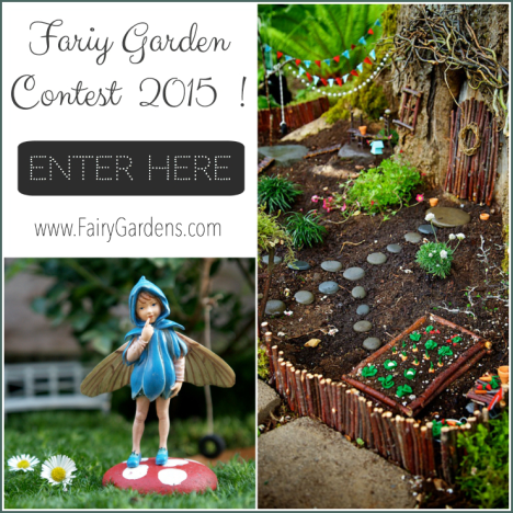 Fairygardens.com fairy garden contest